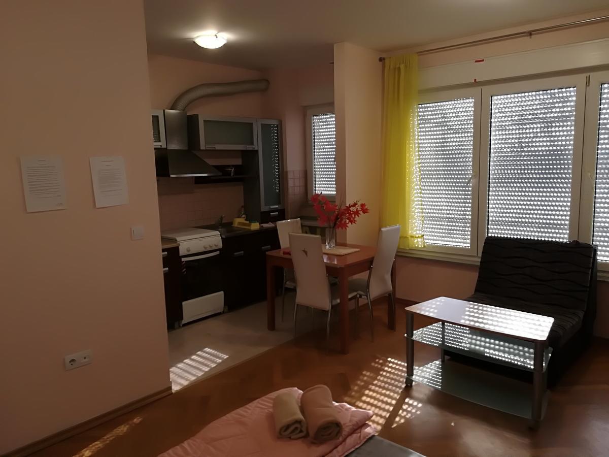 Guesthouse Sava Славонський Брод Екстер'єр фото