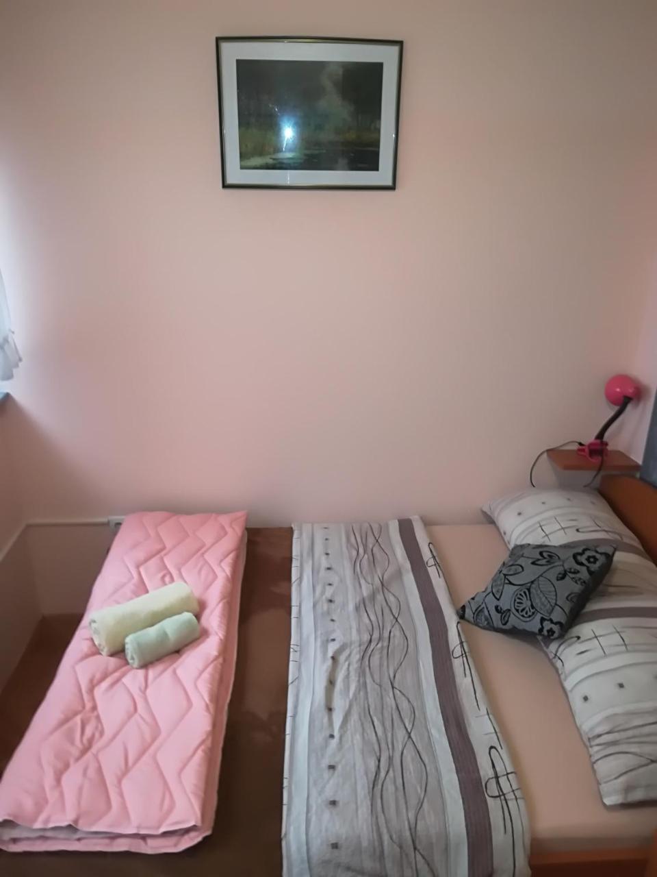 Guesthouse Sava Славонський Брод Екстер'єр фото